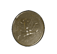 coin spinning